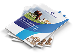 Company Brochure